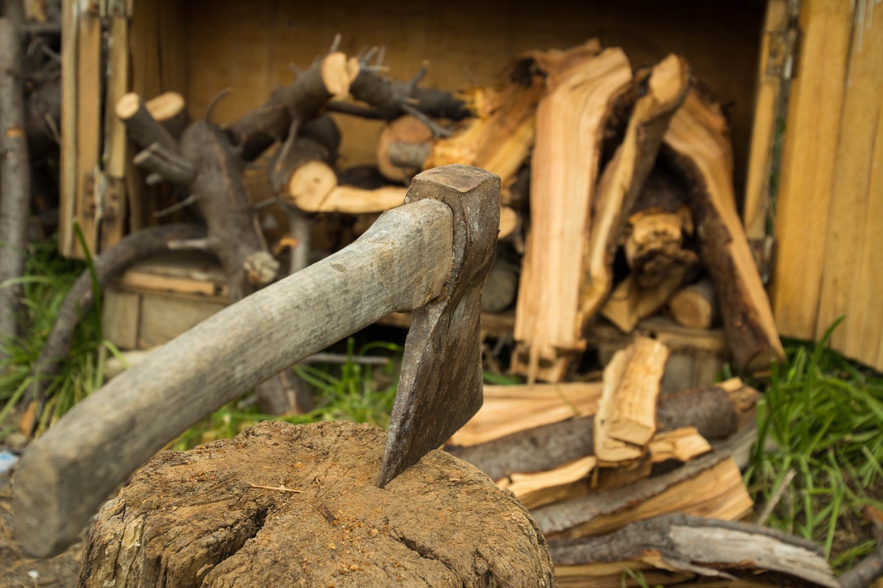 ax, firewood, nature-5079002.jpg