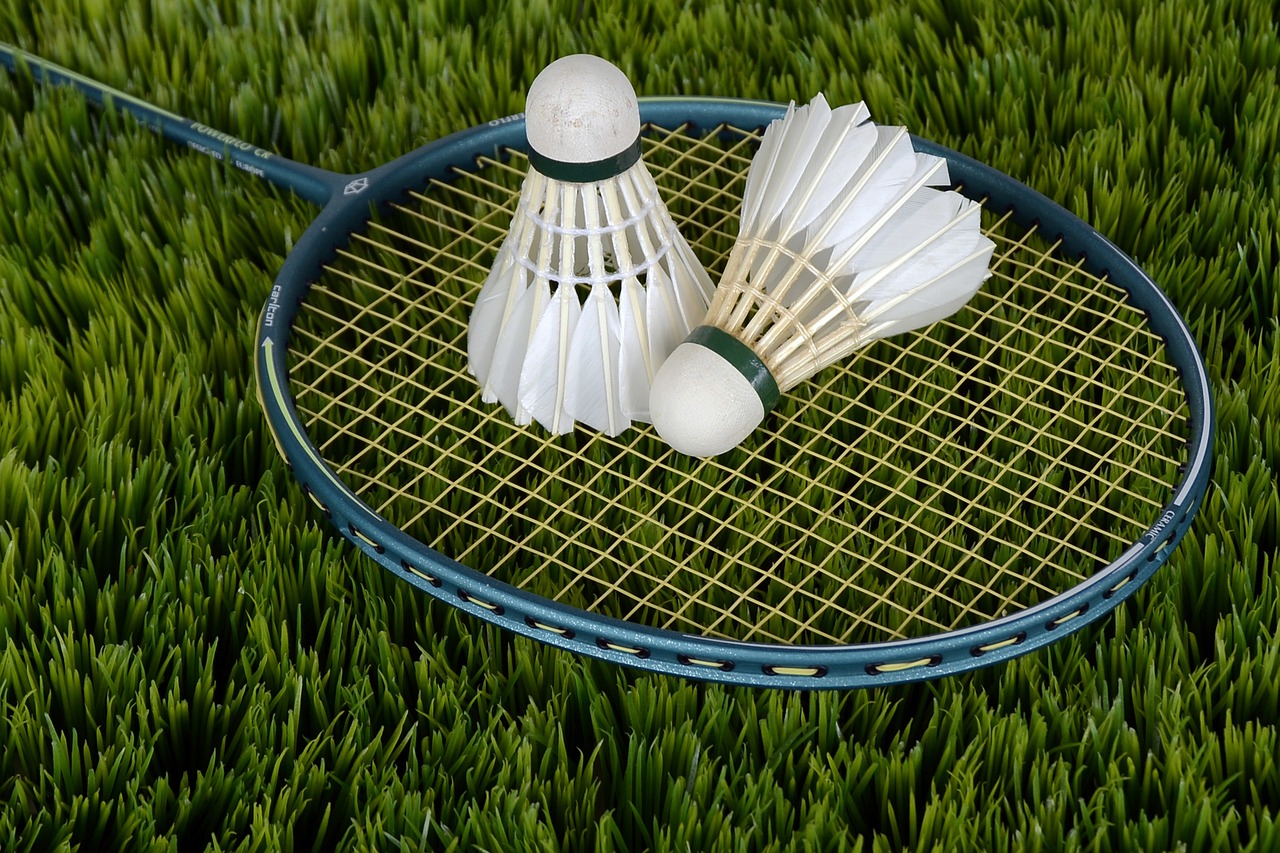 badminton, shuttle, sports-1428045.jpg