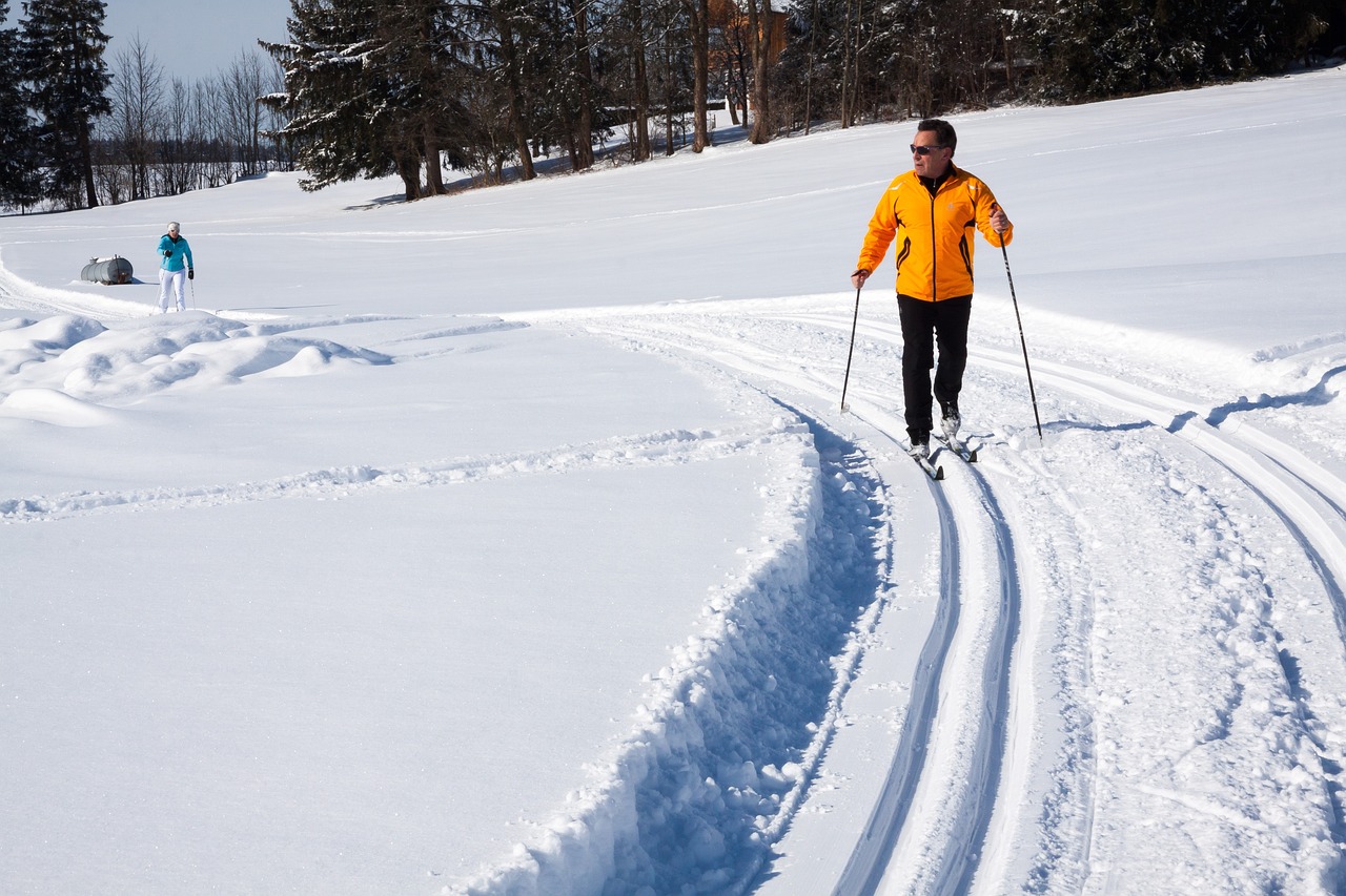 cross-country skier, cross-country ski run, track-624253.jpg