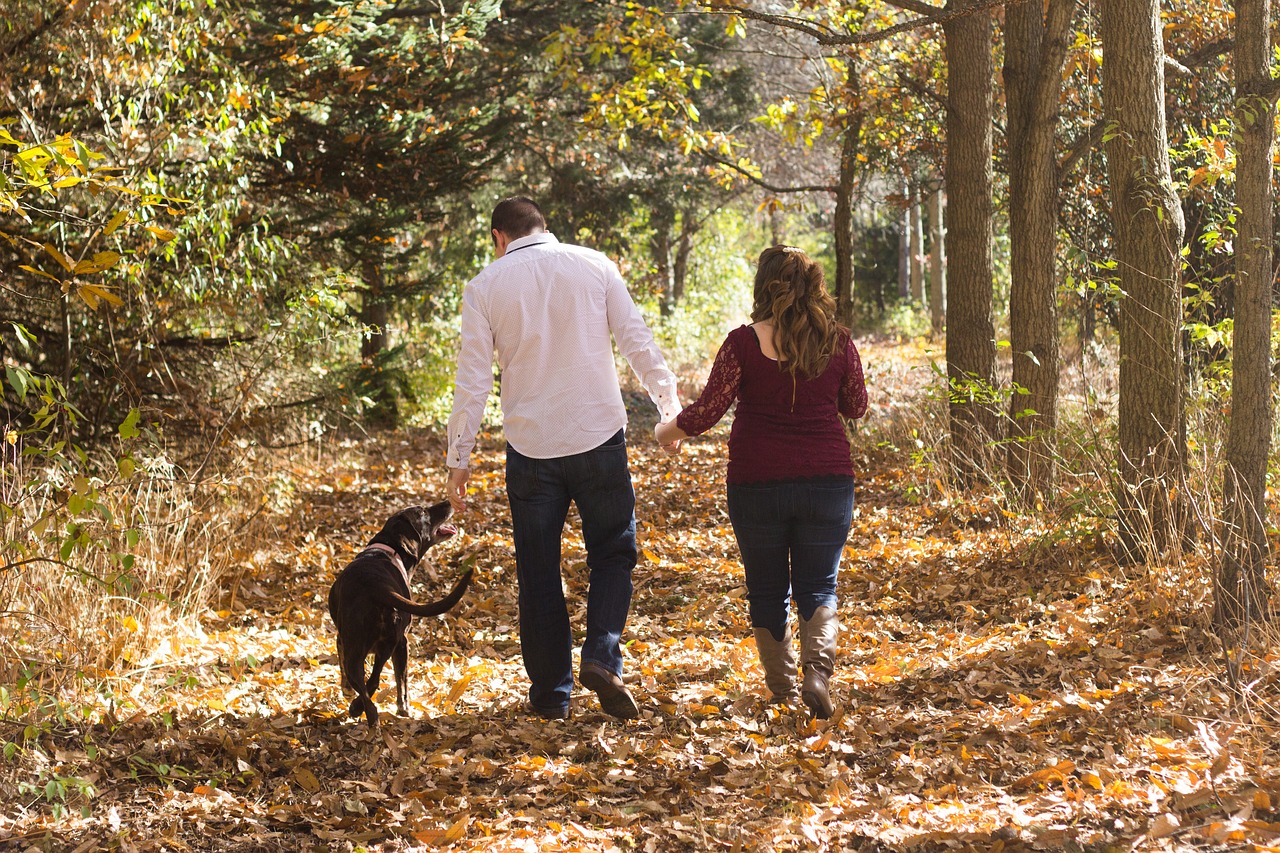 family, walking, woods-2366129.jpg