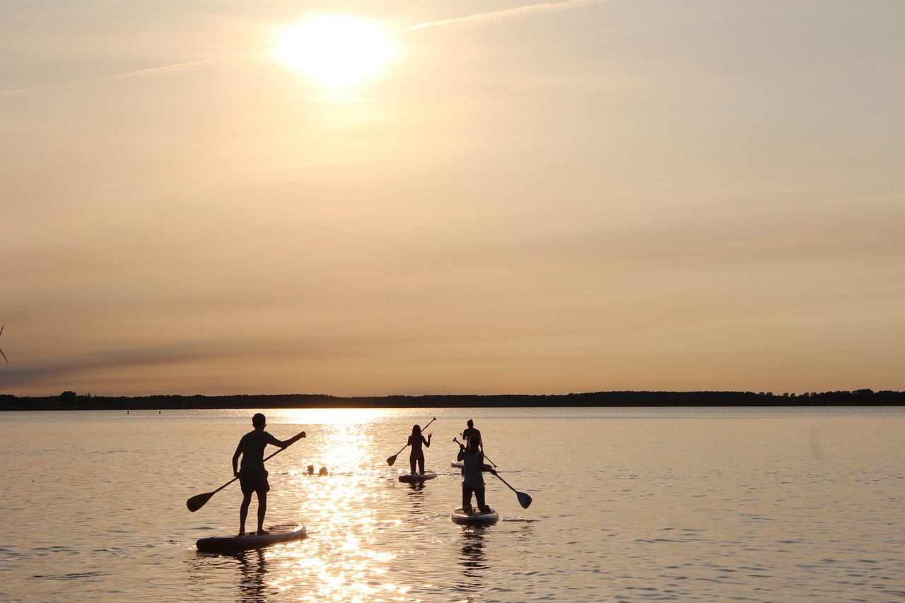 stand up paddeling, paddle, sunset-1645433.jpg