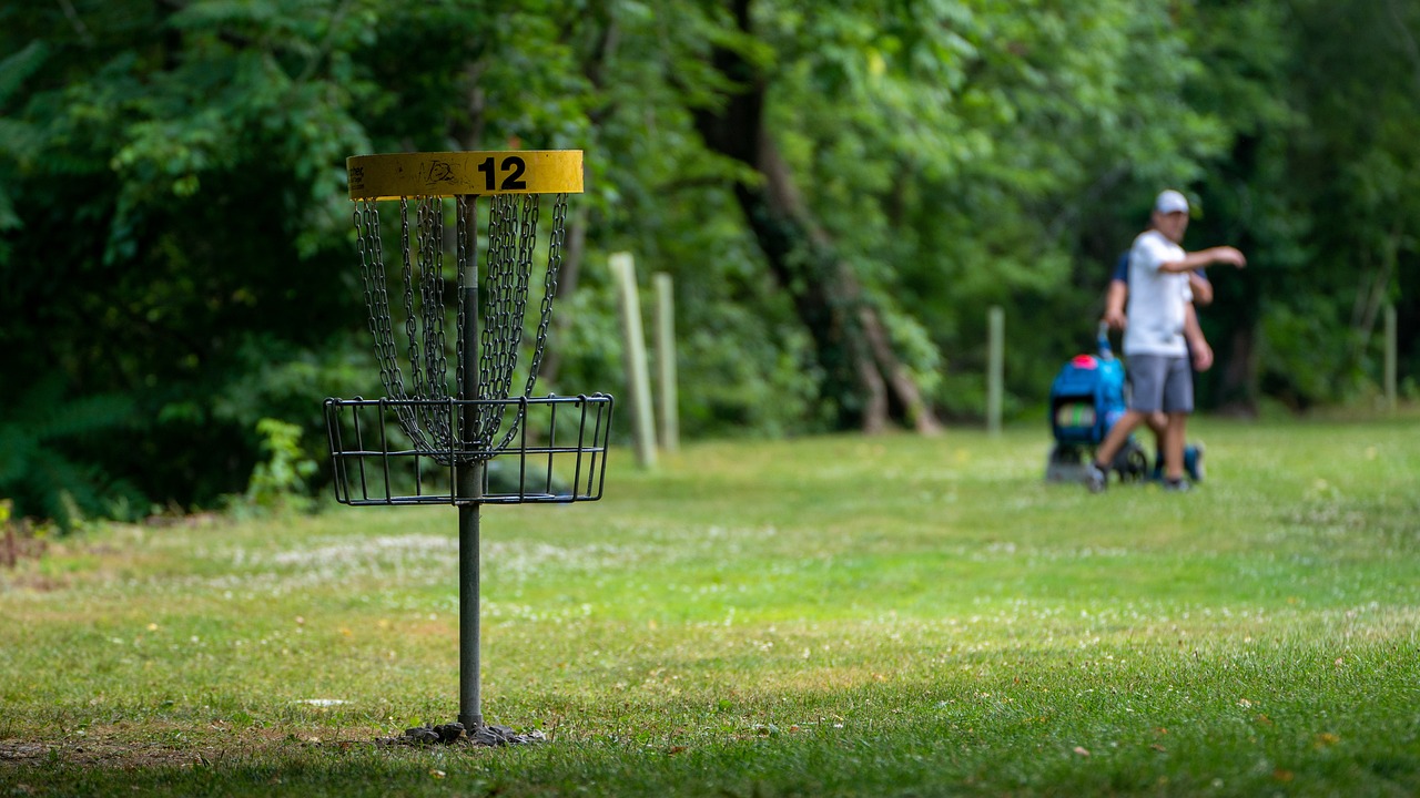 disc golf, frisbee golf, frisbee-5401318.jpg