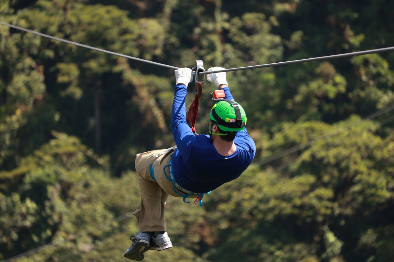 zipline, ziplining, trees-4135588.jpg