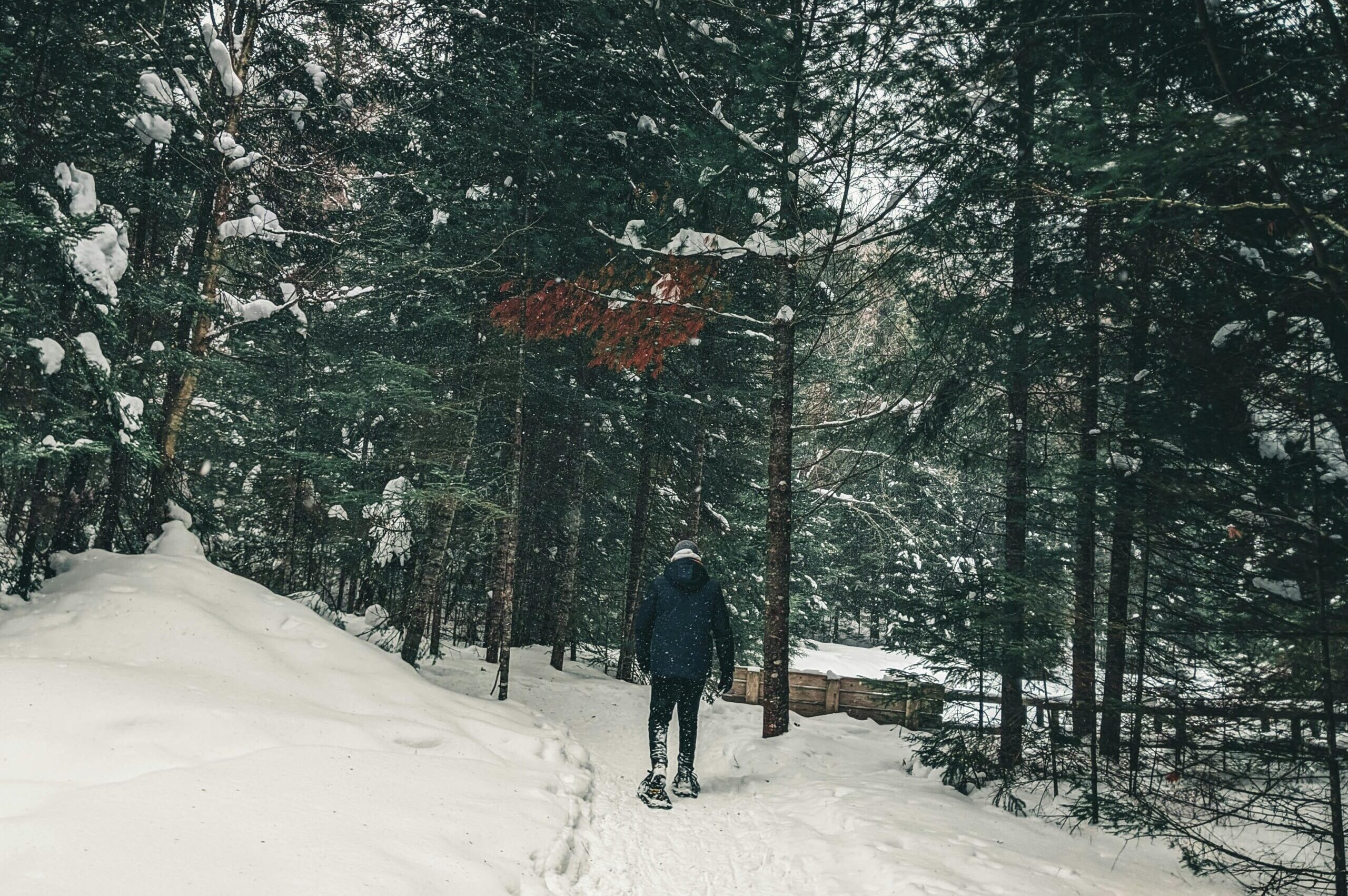 Man Walking through Snow Covered Forest