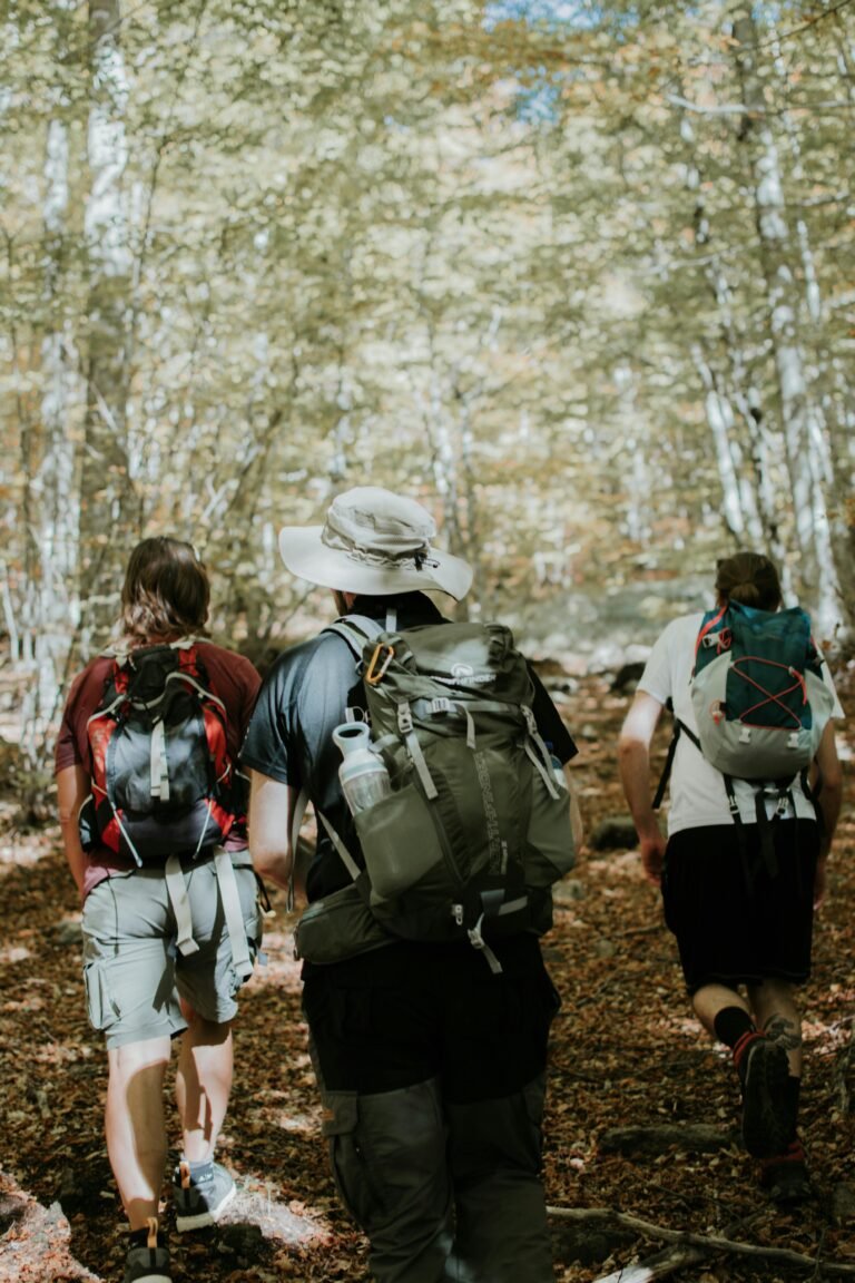 Three friends hiking through an autumn forest, enjoying nature and outdoor adventure.